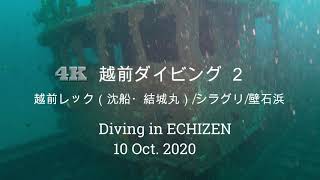 4K60fps　越前ダイビング 2　越前レック（沈船・結城丸）/シラグリ/壁石浜（2020.10.10)