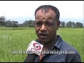 pradhan mantri krishi sinchai yojana pmksy dhemaji assam