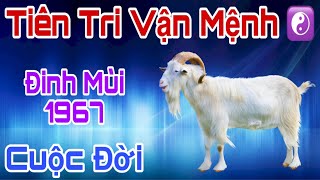 Tiên Tri Vận mệnh - Đinh Mùi 1967 - Đến Thời Đổi Vận Đón Nhận Giàu Sang  Phú Quý, Hậu Vận Viên Mãn!