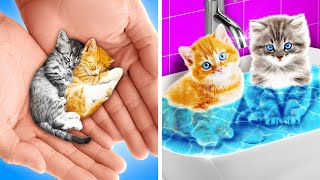 SAVE THESE TINY KITTENS || Useful DIY Ideas and Hacks for Smart Pet Owners! Gadgets by 123 GO!