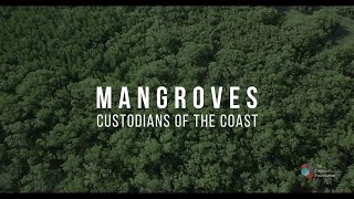 Mangrove and Coastal Preservation (English)