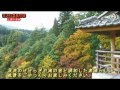 【三途川渓谷・紅葉の様子】秋田県湯沢市　　湯～なび放送局