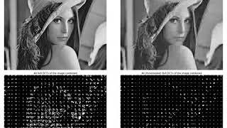 Lossy JPEG Compression | Block DCT | Scipy | Numpy | Python