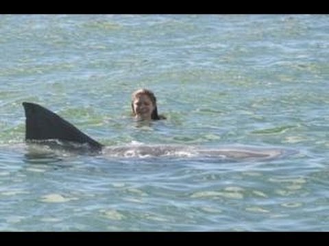 Shark Attacks German Tourist in Hawaii - Bites off Arm! Shark Attacks German Tourist in Hawaii - Bites off Arm!