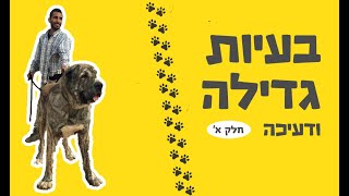 סרטוני הדרכה | מתמטיקה 3 יח\