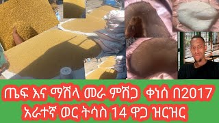 ጤፍ እና ማሽላ መራ ምሽጋ  ቀነሰ በ2017 አራተኛ ወር ትሳስ 14 ዋጋ ዝርዝር 👈