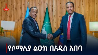 አምባሳደር ምስጋኑ አርጋ ከሶማሊያ የውጭ ጉዳይ እና የዓለም አቀፍ ትብብር ሚኒስትር ዴኤታ አሊ ሞሃመድ ኦማር ጋር ምን ተወያዩ? Etv | Ethiopia