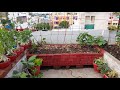 चलो छत पर उगाएँ सब्जियाँ पार्ट  2 How we start terrace gardening prt 2