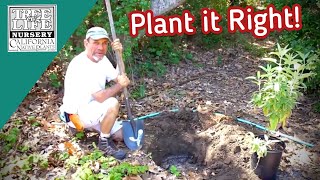 Plant it Right! - Part 1 - Digging the Hole