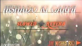 Nishado ki garmi #nishad #viral #slowedandreverb #trendingsong