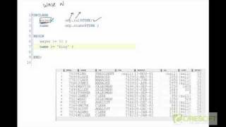 PLS-4: PL/SQL Variables