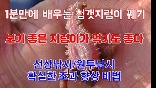 1분만에 배우는 청갯지렁이 꿰기 꿀팁! 선상낚시/원투낚시 확실한 조과 향상 비법 공개[디낚TV]