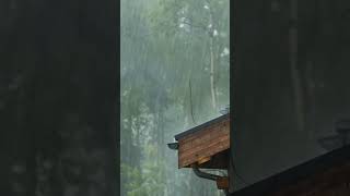 deep sleep music rain  || rain sounds