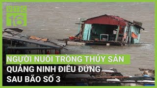 Người nuôi thuỷ sản Quảng Ninh điêu đứng sau bão số 3 | VTC16