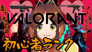 【VALORANT】初心者ランク（アイアン２）　よわよわアリさん🐜【姫蟻エイル/Vtuber】