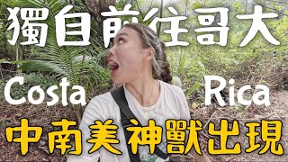 一人自駕哥斯大黎加🇨🇷 中美神獸出沒？自駕安全嗎？CostaRica｜Limit Trip Ep20