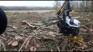 Cutting chestnut coppice with afm 35