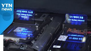 [대구] 미래형 자동차 등 신산업 기업 대구 경제 주력 부상 / YTN