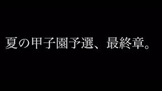 第104回夏の高校野球西東京大会決勝 東海大菅生 vs 日大三