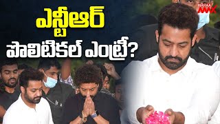 ఎన్టీఆర్ పొలిటికల్ ఎంట్రీ? Special Focus on Jr NTR Political Entry | Mahaa Max