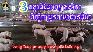 #មកដឹង៣កត្តាធំៗ ធ្វើឲ្យការចិញ្ចឹមជ្រូកបានជោគជ័យ