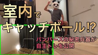 【フィールディングトレーナーネット】室内キャッチボールができる最強ネット！パンパースの秘密兵器、上達必至！