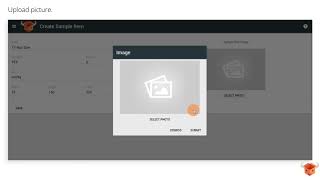 Creating Sample items for Customers