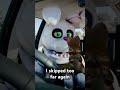 Easter Bunny FNaF Meme Version | FNaF Animation #fnaf #fnafmeme