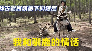 找古老民族留下的踪迹，我和驯鹿的情话