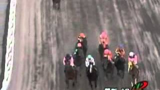 2011/08/11　門別競馬８R　スーパーフレッシュ競走　グッドタイガー