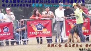 中華民國警犬訓練協會2013全國警犬繁殖展覽大會種公遺傳獎選拔