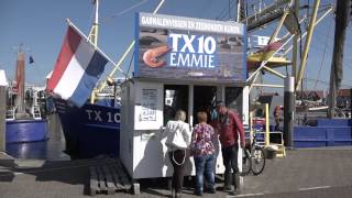 Mit dem Womo unterwegs - Texel, eine niederländische Insel