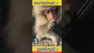 Mirror Prank for Monkey Hilarious Reaction | very funny video try not to laugh #munger #shorts virel
