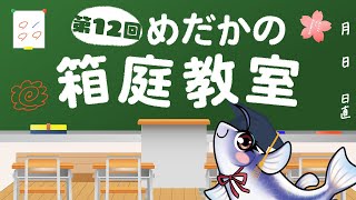 めだかの箱庭 第12回箱庭教室　野生のメダカの産卵行動