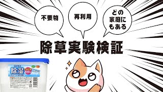 家にある不要な除湿剤を散布　実験　除草