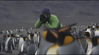 Photography on South Georgia and the Falklands | Expedition Spotlight | Lindblad Expeditions