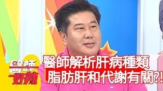 醫師解析各項肝病種類！脂肪肝和代謝有關？！【醫師好辣】20200326 part1 EP917 田知學 琳妲