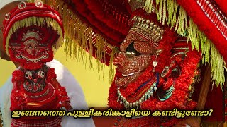 പുള്ളികരിങ്കാളി | Pullikarinkaali