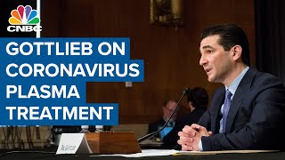 Former FDA chief Scott Gottlieb on coronavirus plasma treatment