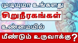 சிறுநீரக மீளுருவாக்கம் இரகசியங்கள்: உண்மையைக் கண்டறியவும் | Must-Know Facts | Dr Puru Dhawan