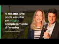 A MESMA UVA PODE GERAR VINHOS COMPLETAMENTE DIFERENTES - MISTRAL