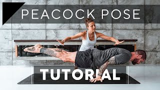 Peacock Pose Tutorial (Mayurasana) Advanced Arm Balances | Breathe and Flow Yoga