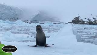 Welcome to the “World Navigator” Cruise Ship from Atlas Ocean Voyages