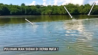 BANYAK SEKALI IKAN YANG BERENANG DI DEPAN KAMI || SEKALI JARING TURUN PULUHAN EKOR TERJEBAK !