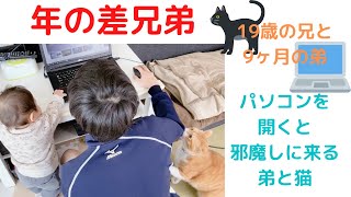 【年の差兄弟】パソコンの邪魔をする弟と猫。19歳の兄と9ヶ月の弟。