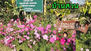 ความสุขตอนเช้าบ้านสวนคุณยายกาย