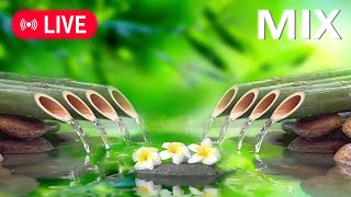 🔴Relaxing Garden Music 24/7, Nature Meditation Music, Zen Music, Relaxing Music for Studying, Water