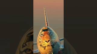 Tiger Aeroplane | Amazing Tiger Plane 🙈😲😍 #aeroplane #plane #planecrash