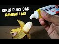 MENYESAL BARU TAHU !! kenapa tidak dari dulu buat RAMUAN ini