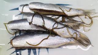 Sardine (food) | Wikipedia audio article